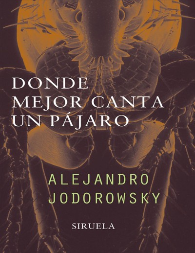 Donde Mejor Canta un Pájaro