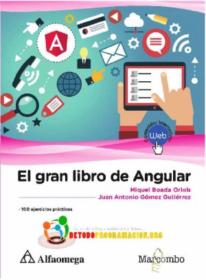 El Gran Libro De Angular